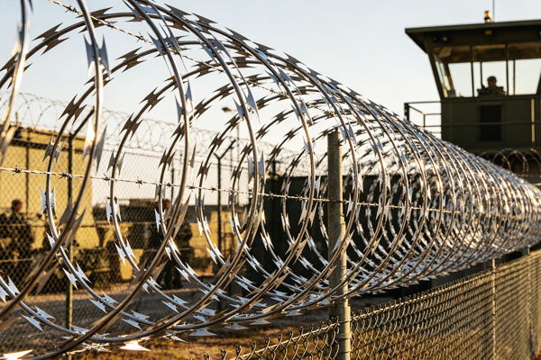 Concertina Wire